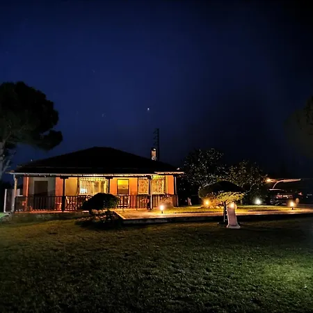 Hotel Barbara Chalkidiki *