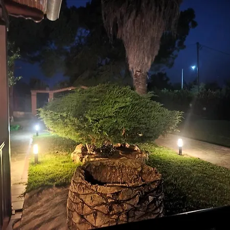 Barbara Chalkidiki Hotel *