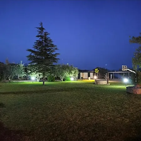Hotel Barbara Chalkidiki
