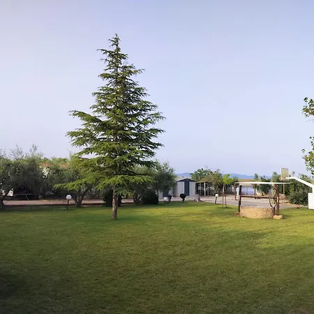 Barbara Chalkidiki Hotel *