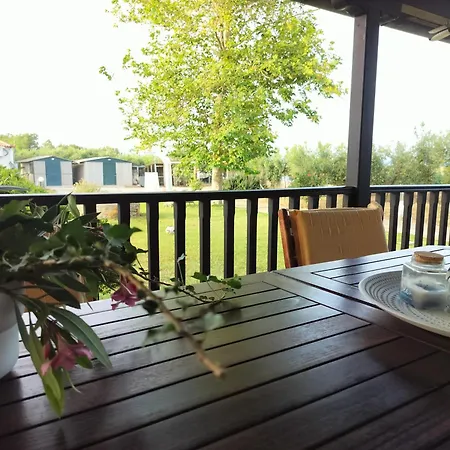 Hotel Barbara Chalkidiki *