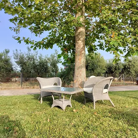 Hotel Barbara Chalkidiki